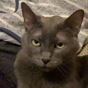 Meet your Posher, Edwin